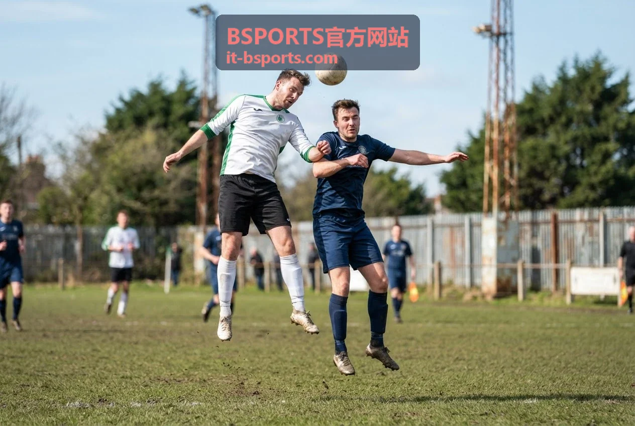 BSPORTS官方网站协同办公套件界面