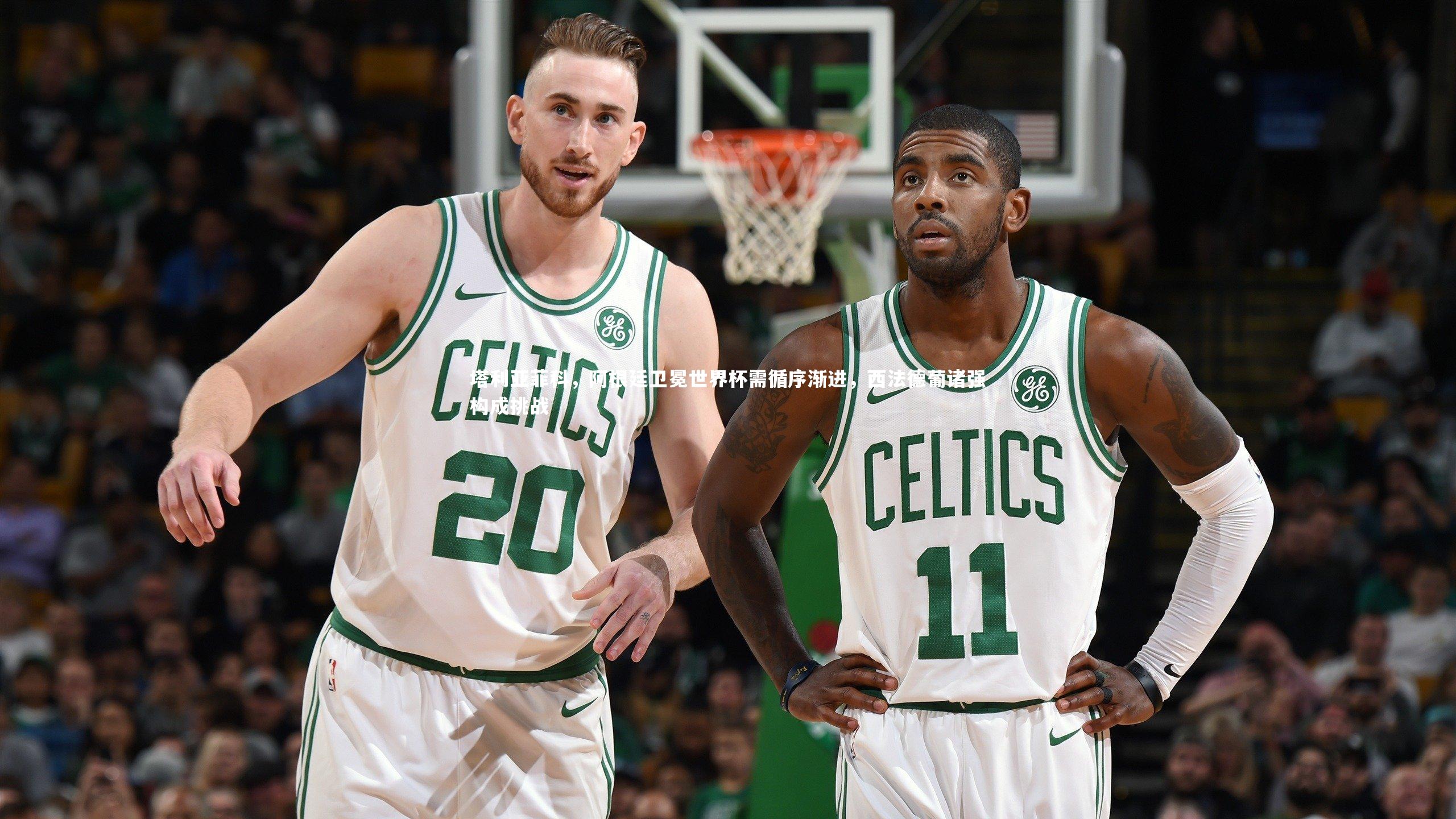 B体育平台：塔利亚菲科，阿根廷卫冕世界杯需循序渐进，西法德葡诸强构成挑战